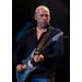 MARK KNOPFLER